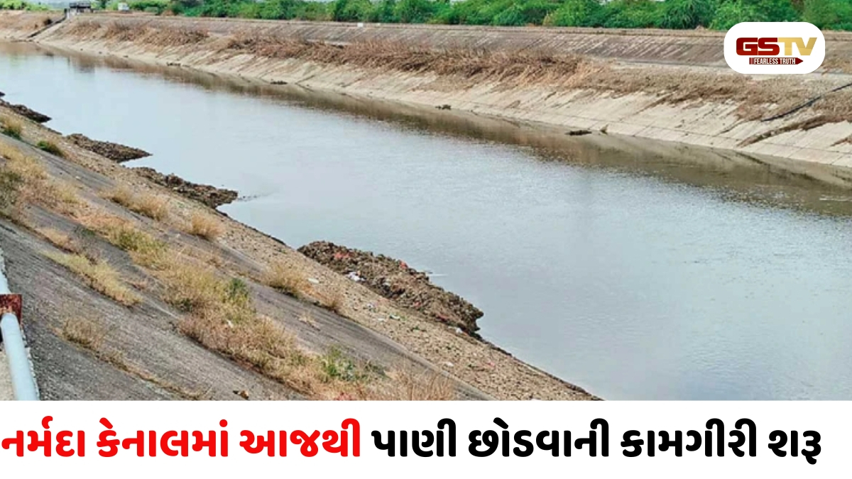 VIDEO: સુરેન્દ્રનગરની મુખ્ય નર્મદા કેનાલમાં આજથી પાણી છોડવાની કામગીરી શરૂ કરવામાં આવી