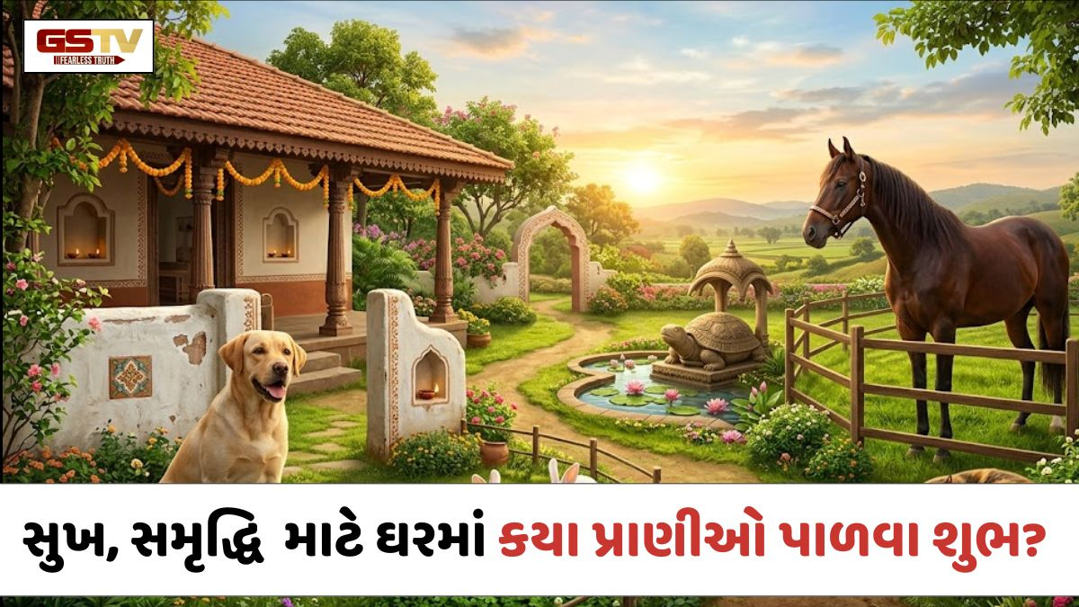 Religion: સુખ, સમૃદ્ધિ અને સકારાત્મક ઉર્જા માટે ઘરમાં કયા પ્રાણીઓ પાળવા શુભ? જાણો વાસ્તુ અને જ્યોતિષશાસ્ત્ર શું કહે છે?