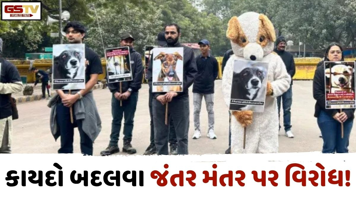 VIDEO: ANDAR NI VAAT/ જંતર મંતર પર પ્રાણી પ્રેમીઓનું પ્રદર્શન: 'રોર 4 રાઇટ્સ' હેઠળ અલગ મંત્રાલયની માંગ