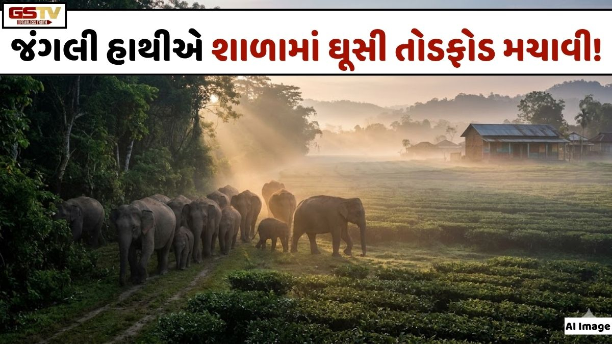 VIDEO: ANDAR NI VAAT/ જંગલી હાથીઓનો આતંક: સરકારી શાળામાં તોડફોડ અને ઘરોને નુકસાન!