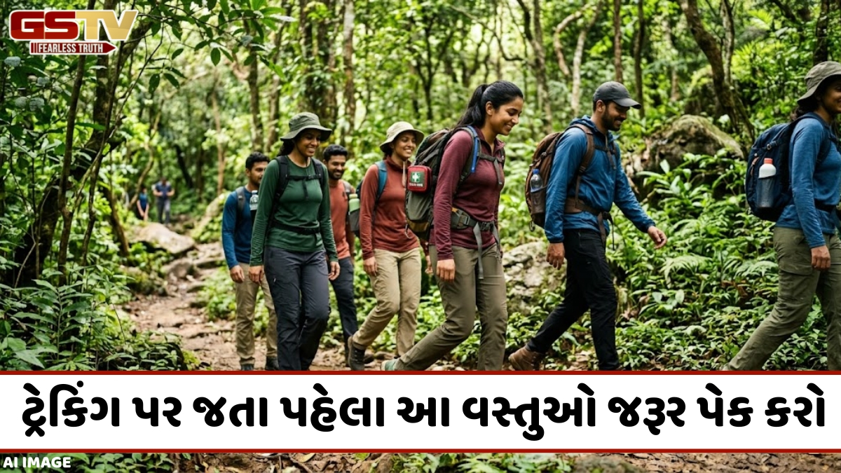 VIDEO: ટ્રેકિંગ પર જવાનું આયોજન કરી રહ્યા હોવ, તો જરૂર ધ્યાનમાં રાખો આટલી બાબતો