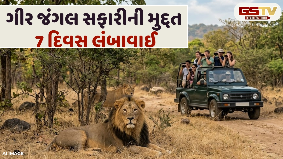 સાસણ ગીરના પ્રવાસે જતાં મુલાકાતીઓ માટે સારા સમાચાર, 22 જૂન સુધી લઈ શકાશે સિંહ દર્શનનો લ્હાવો