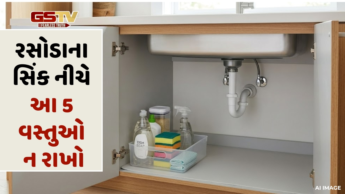 શું તમારા ઘરમાં સતત પૈસાની અછત રહે છે? રસોડાના સિંક નીચે રાખેલી આ વસ્તુઓ આજે જ કરો દૂર