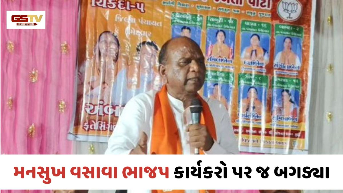 'ભાજપના લોકો જ ભાજપને નડે છે', સાંસદ મનસુખ વસાવા પોતાની જ પાર્ટીના કાર્યકરો પર વિફર્યા