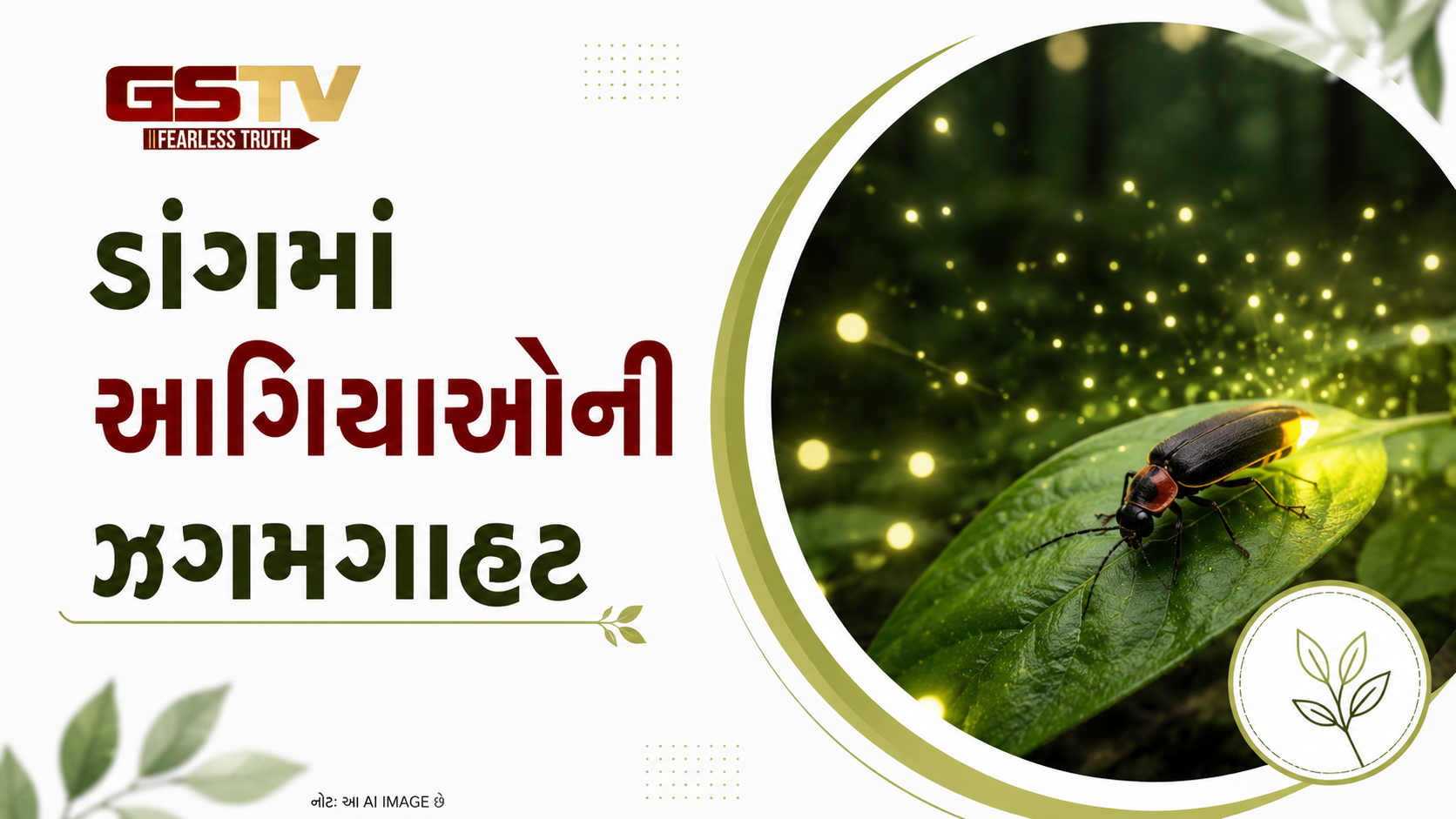 VIDEO : ડાંગમાં આગિયાઓની ઝગમગાહટ