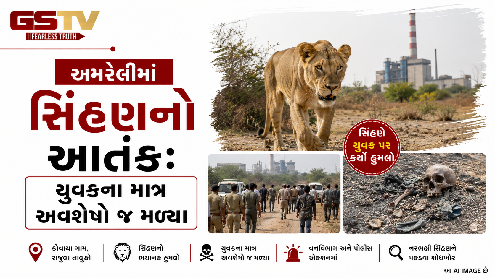 VIDEO:અમરેલીમાં સિંહણનો આતંક: યુવકના માત્ર અવશેષો જ મળ્યા