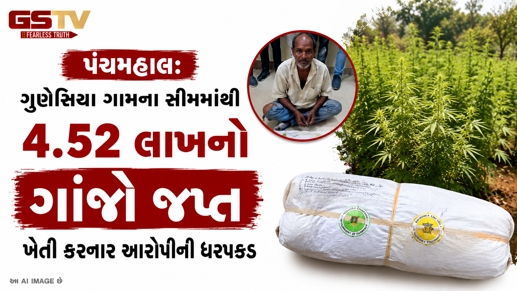 ઘોઘંબાના ગુણેસિયા ગામેથી ઝડપાઈ ગાંજાની ગેરકાયદે ખેતી!, 4.52 લાખના મુદ્દામાલ સાથે એકની ધરપકડ