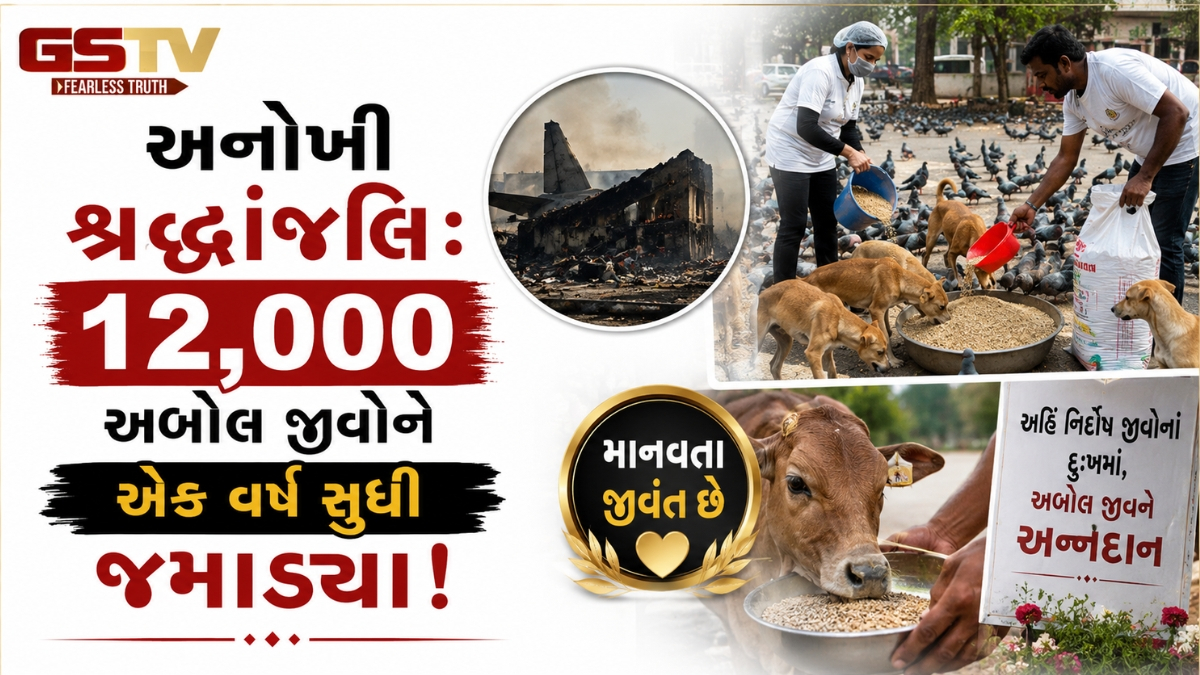 નિર્જન સ્થળે ખોરાક માટે ભટકતા પશુ-પક્ષીઓ, 12 હજાર અબોલ જીવોને એક વર્ષ સુધી જમાડ્યા!