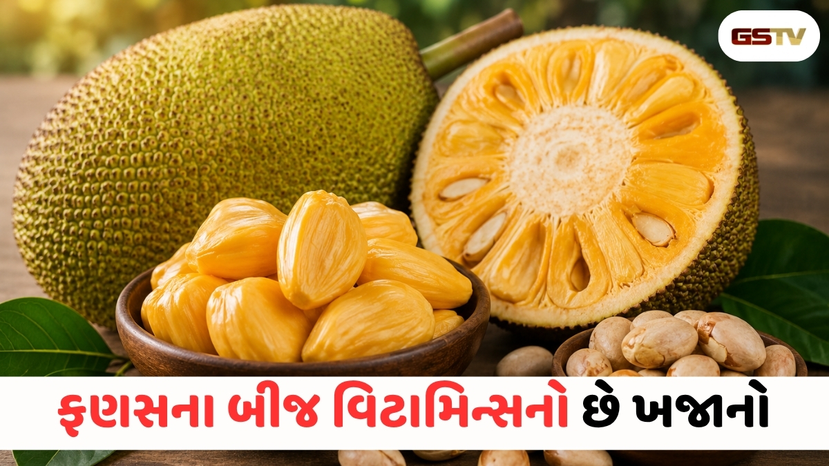 Health Tips : ફણસ અને તેના બીજ કેમ ગણાય છે સુપરફૂડ? જાણો સ્વાસ્થ્યને થતા અઢળક ફાયદા