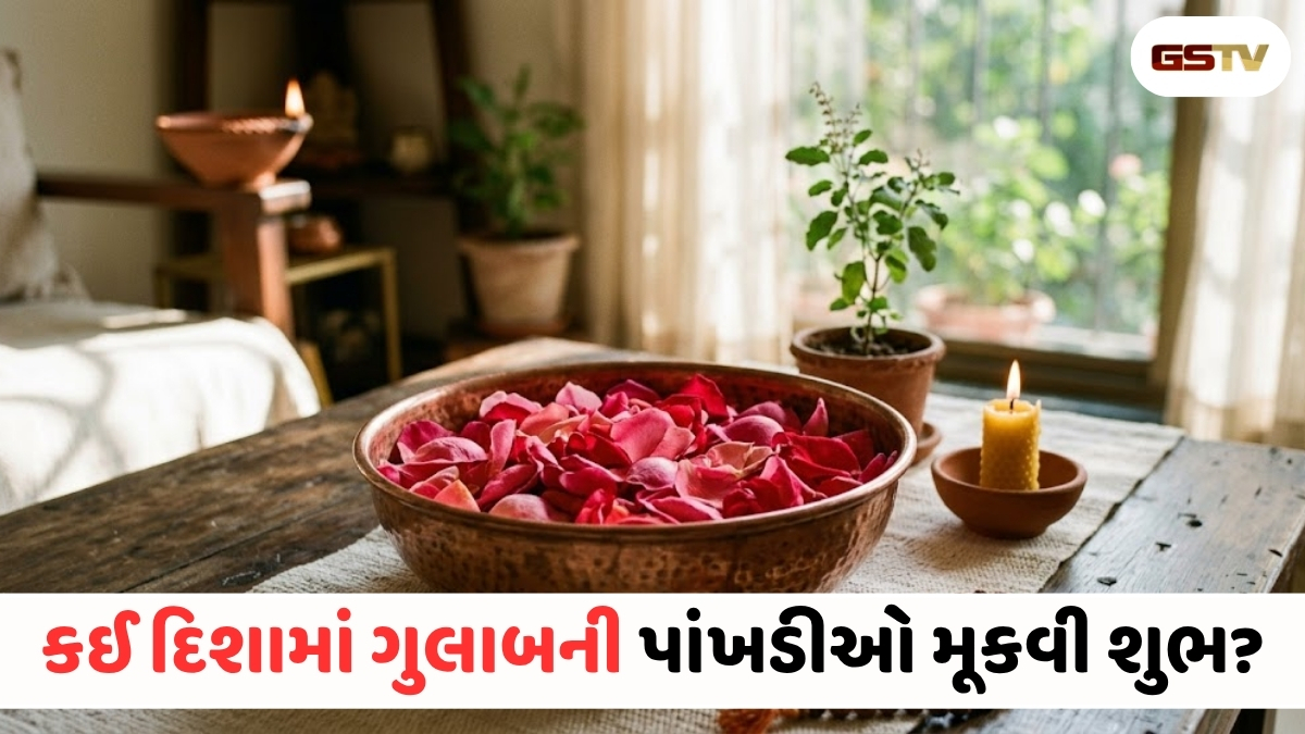 Vastu Tips : નકારાત્મકતા દૂર કરશે ગુલાબની પાંખડીઓ! જાણો વાસ્તુ મુજબ ઘરના કયા ખૂણામાં રાખવાથી ચમકશે ભાગ્ય?