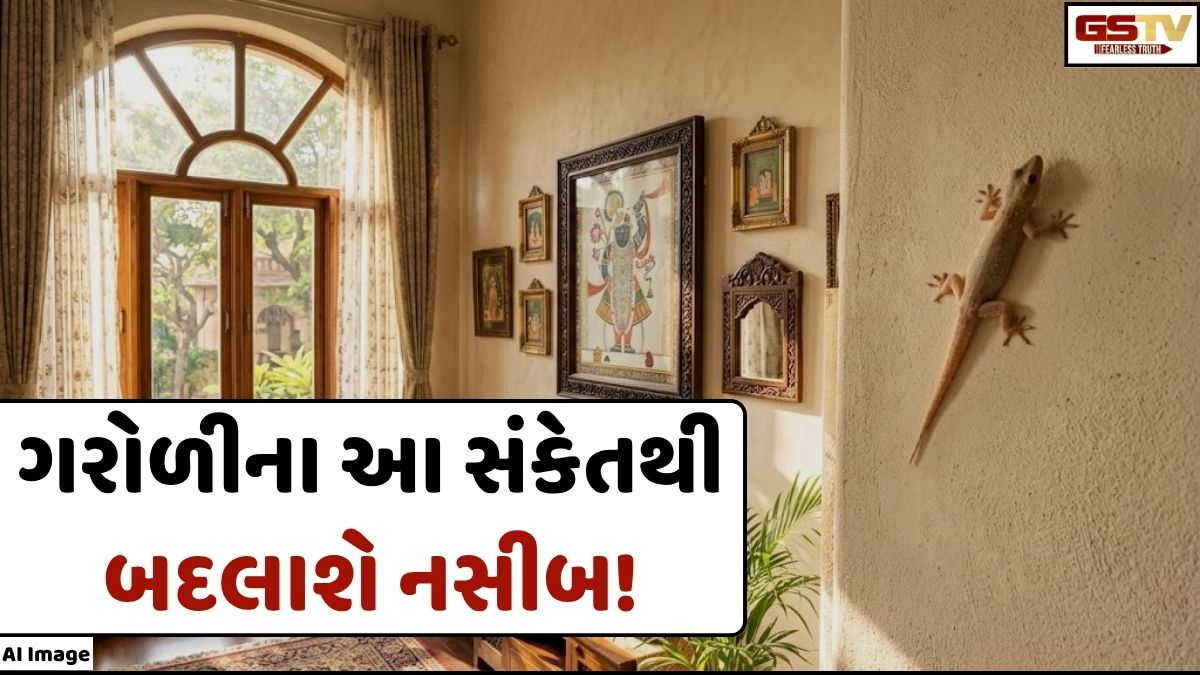 VASTU TIPS: ઘરમાં આ ખાસ દિશામાં ગરોળી દેખાવવી એ 'રાજયોગ'નો સંકેત છે! વાસ્તુ શાસ્ત્રમાં પણ છે ઉલ્લેખ