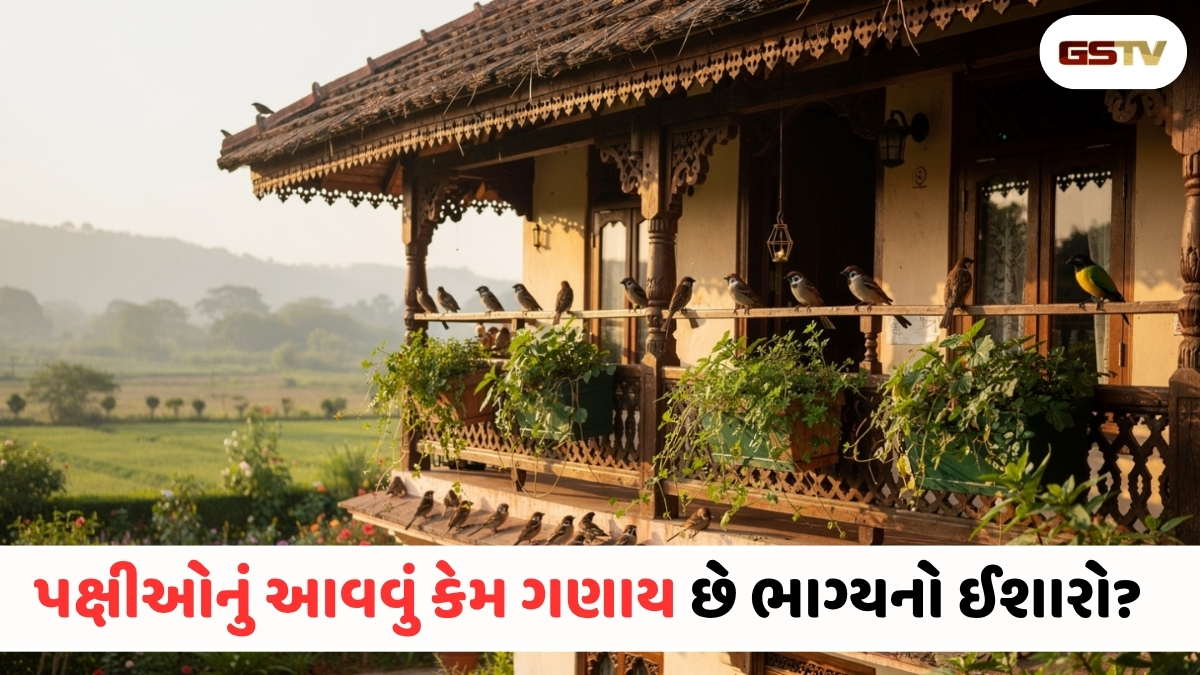 ઘરમાં પક્ષીઓનું આગમન: માત્ર કુદરતી ઘટના કે ભાગ્ય બદલાવાના સંકેત?