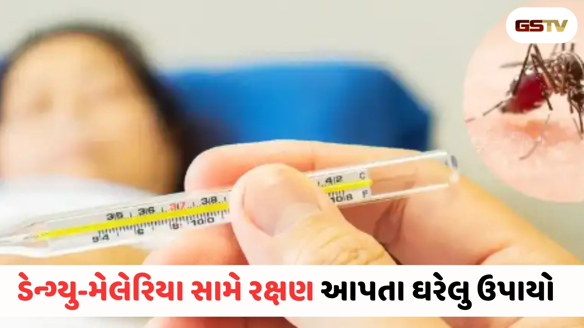 Health Tips : ચોમાસામાં મચ્છરોનો કાળ: આ 6 દેશી નુસખા ડેન્ગ્યુ અને મેલેરિયાને રાખશે ઘરથી દૂર