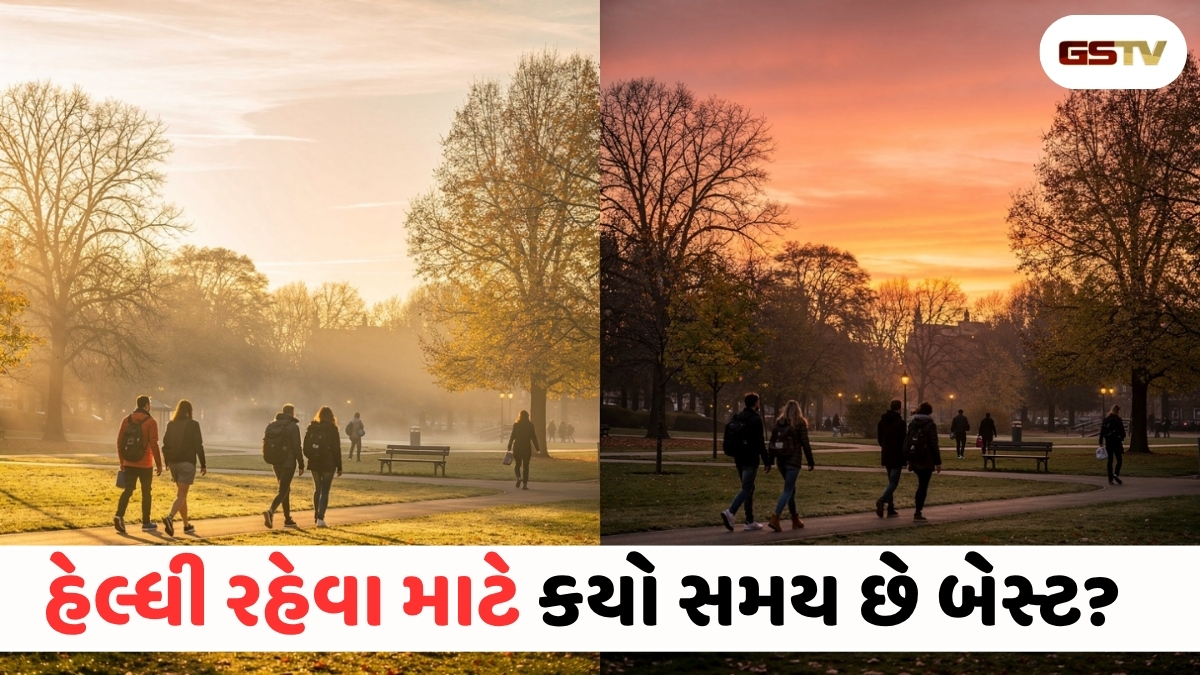 VIDEO : Health Tips / સવારે કે સાંજે? હેલ્ધી રહેવા અને બ્લડ શુગર કંટ્રોલ કરવા કયા સમયે ચાલવું જોઈએ?