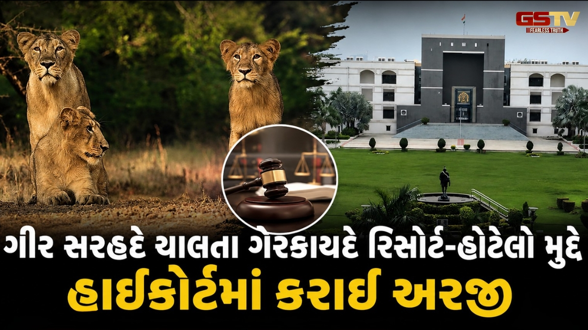 Ahmedabad news: ગીર સરહદે ચાલતા ગેરકાયદે રિસોર્ટ-હોટેલો મુદ્દે હાઈકોર્ટમાં અરજી, કલેક્ટરોના સોગંદનામામાં થયા ચોંકાવનારા ખુલાસા