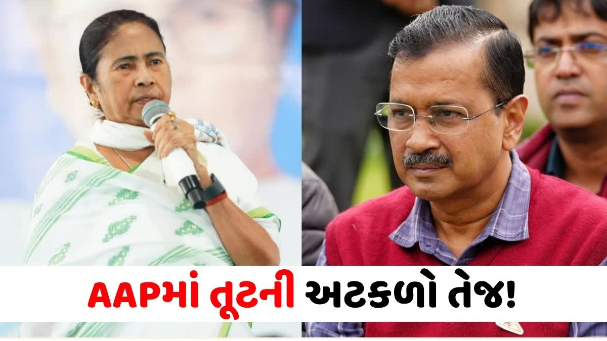 AAPમાં તૂટની અટકળો તેજ! રાઘવ ચઢ્ઢા બાદ લોકસભાના સાંસદો પણ NDAમાં જોડાશે? કેન્દ્રીય મંત્રીનો મોટો દાવો
