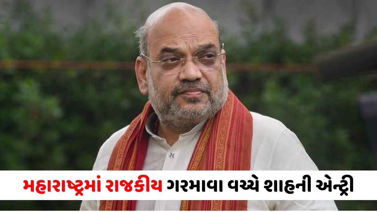 રાજકીય હલચલ વચ્ચે મહારાષ્ટ્રના પ્રવાસે અમિત શાહ, શું છે BJPનો Master Plan?