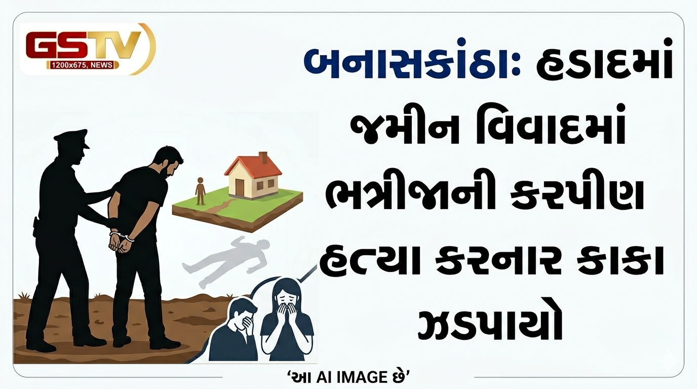 VIDEO:બનાસકાંઠા: હડાદમાં જમીન વિવાદમાં ભત્રીજાની કરપીણ હત્યા કરનાર કાકા ઝડપાયો