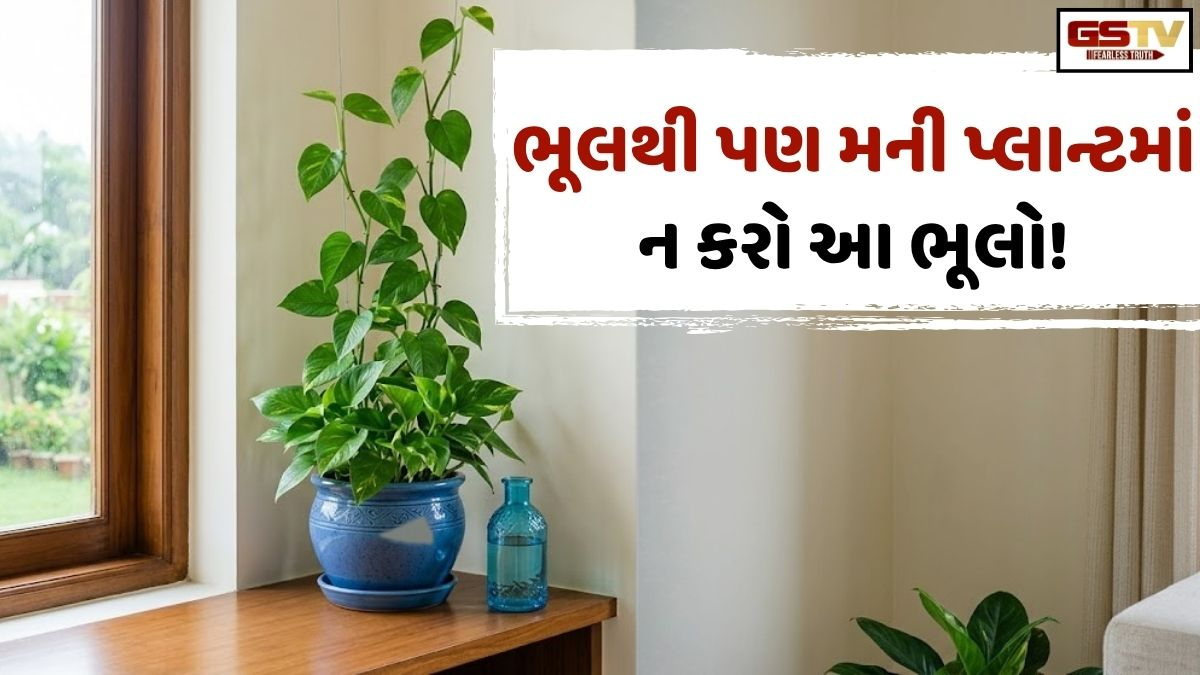 Vastu Tips: ઘરમાં મની પ્લાન્ટ લગાવ્યા બાદ ના કરો આ 5 ભૂલ, નહિતર ફાયદાના બદલે થઈ શકે છે આર્થિક નુકસાન!