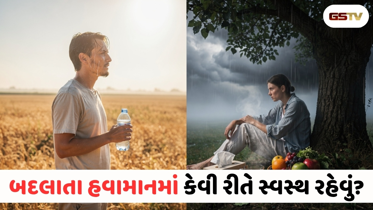 Health Tips : ગરમીથી રાહત કે બીમારીને આમંત્રણ? બદલાતી મોસમમાં આ ભૂલો ક્યારેય ન કરો