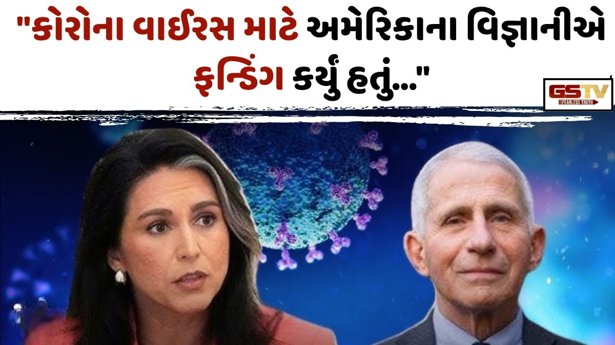 તુલસી ગબાર્ડના એક આરોપથી અમેરિકાના રાજકારણ સહિત દુનિયામાં મચ્યો હડકંપ!