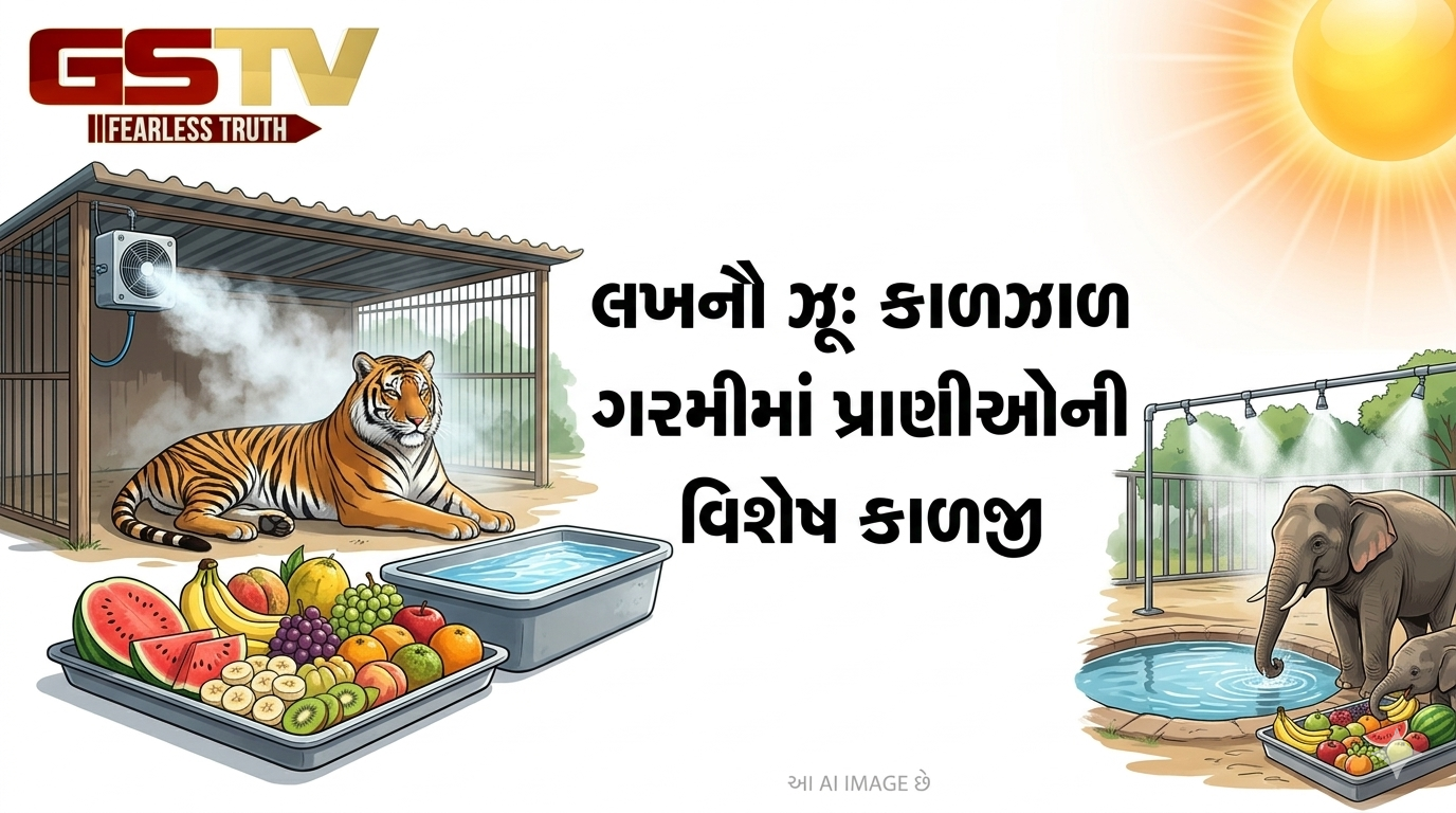 VIDEO : ગરમી અને ભેજ સામે પ્રાણીઓની સુરક્ષા