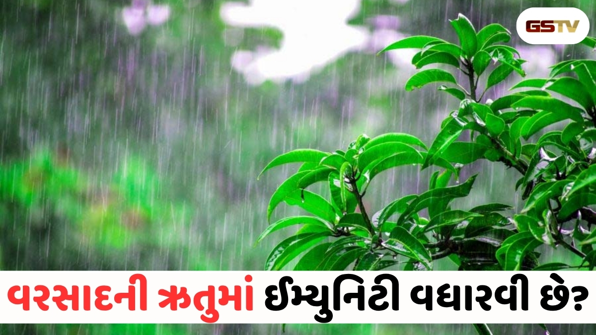 Health Tips : વરસાદી ઇન્ફેક્શન અને પાચનની સમસ્યાઓ થશે ગાયબ! ચોમાસામાં વરદાન સમાન છે આ ફળો