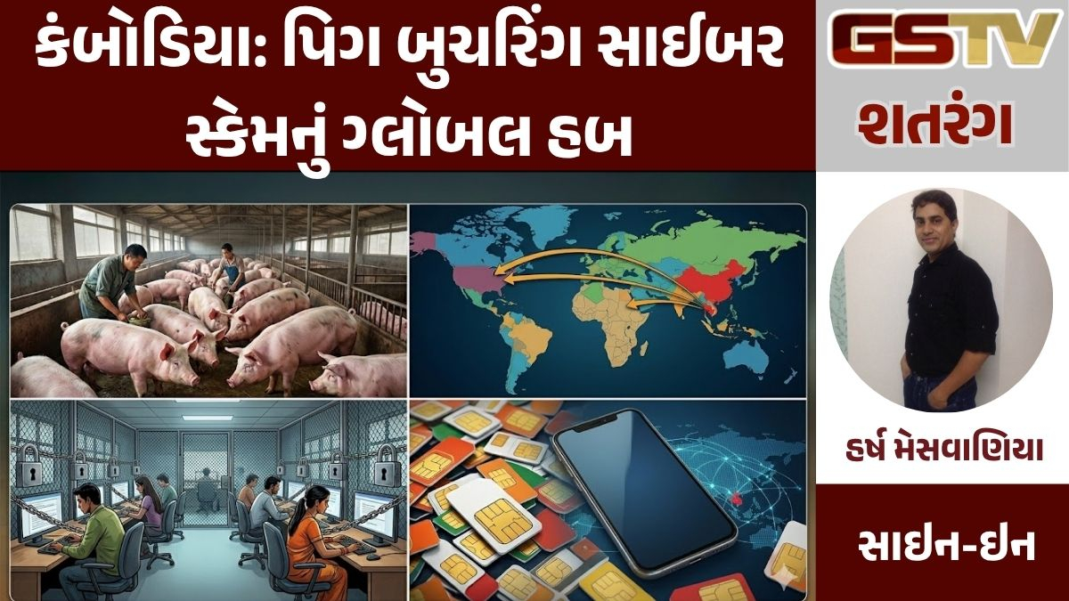 GSTV શતરંગ/ કંબોડિયા: પિગ બુચરિંગ સાઈબર સ્કેમનું ગ્લોબલ હબ