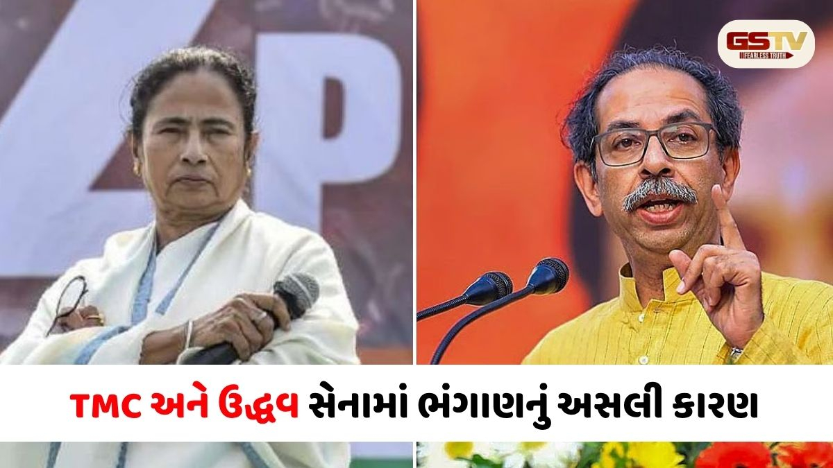 મમતા બેનર્જીની TMC અને ઉદ્ધવ જૂથમાં કેમ થઈ બગાવત? ભાજપના નેતાએ જણાવી ઇનસાઇડ સ્ટોરી 