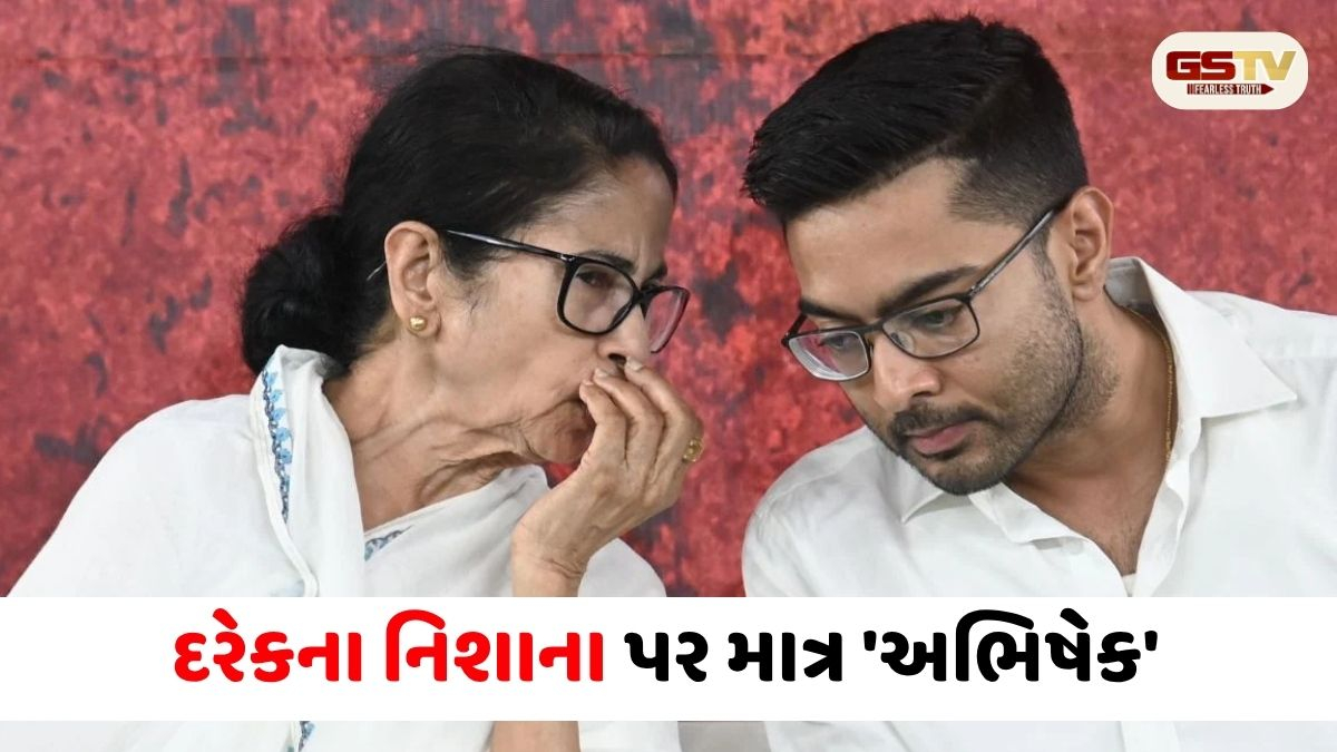 TMCની દુર્દશા માટે કોણ જવાબદાર? ચૂંટણી હારતા જ કેવી રીતે શરૂ થઈ ગયા અભિષેક બેનર્જીના 'ખરાબ દિવસ'