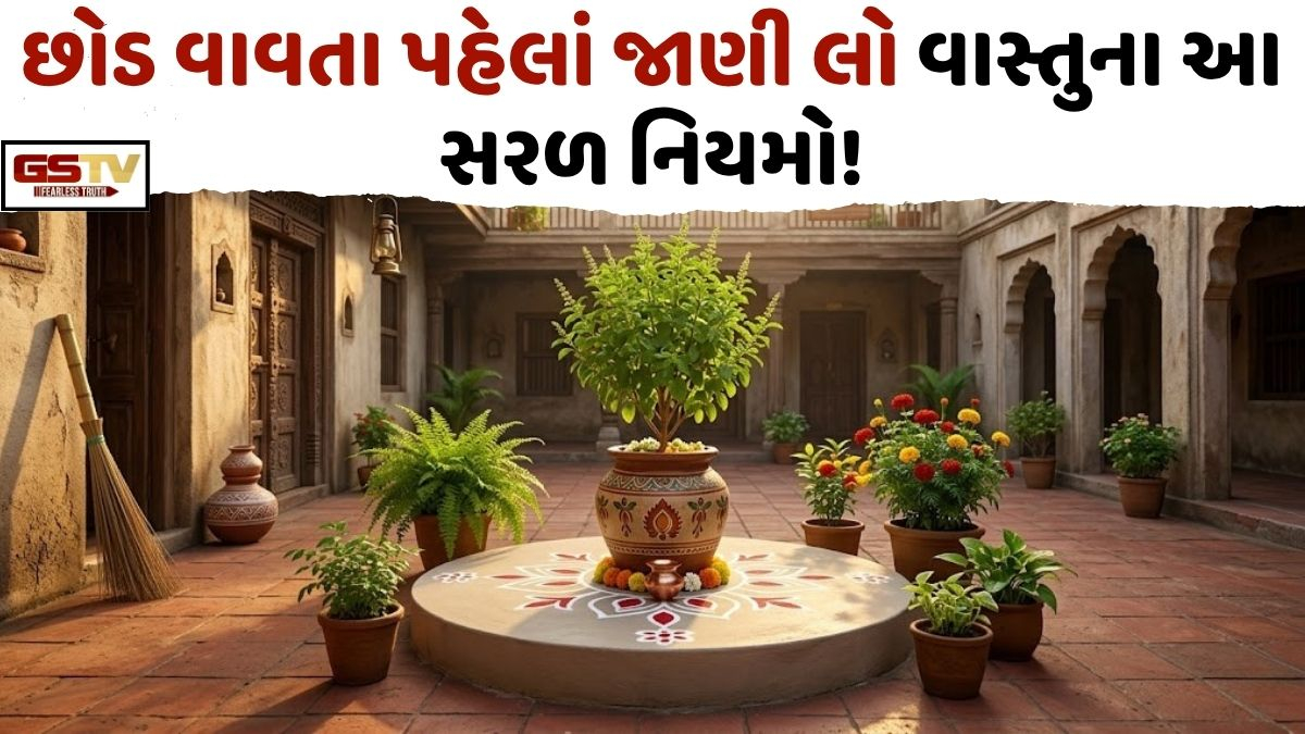 Vastu Tips: માત્ર શોખ માટે ઘરમાં છોડ વાવતા હોવ, તો પહેલાં જાણી લો વાસ્તુના આ નિયમો!