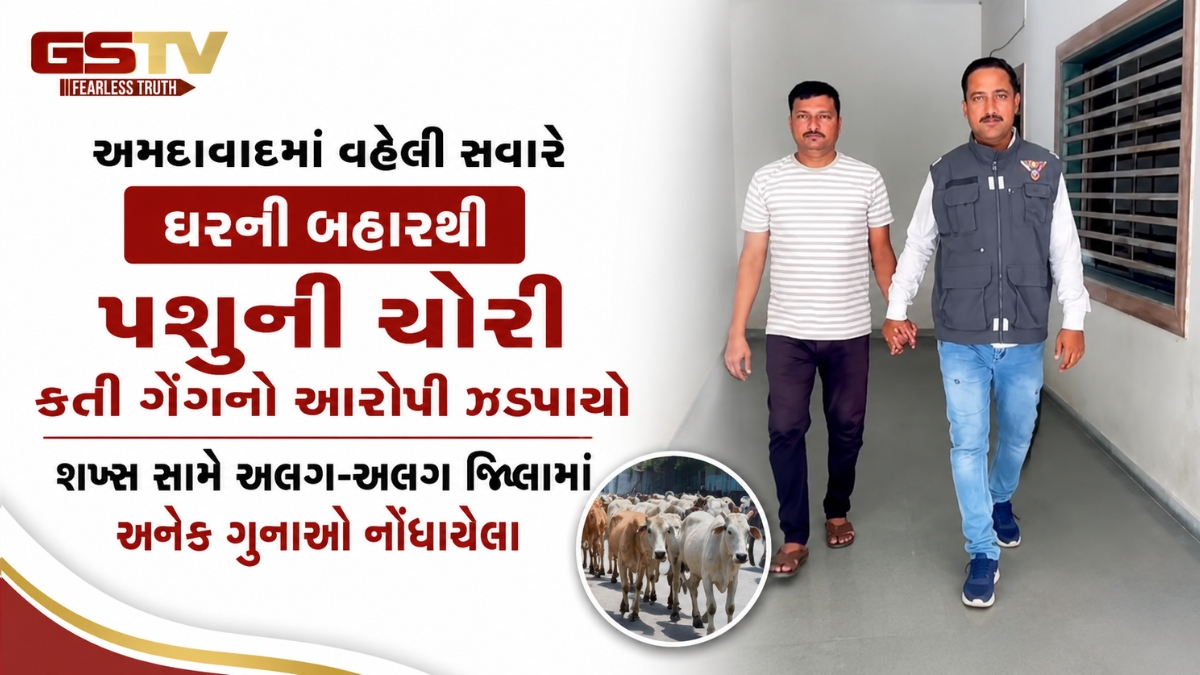 અમદાવાદમાં વહેલી સવારે ઘરની બહારથી પશુની ચોરી કરતી ગેંગનો આરોપી ઝડપાયો,  શખ્સ સામે અલગ-અલગ જિલ્લામાં અનેક ગુનાઓ નોંધાયેલા