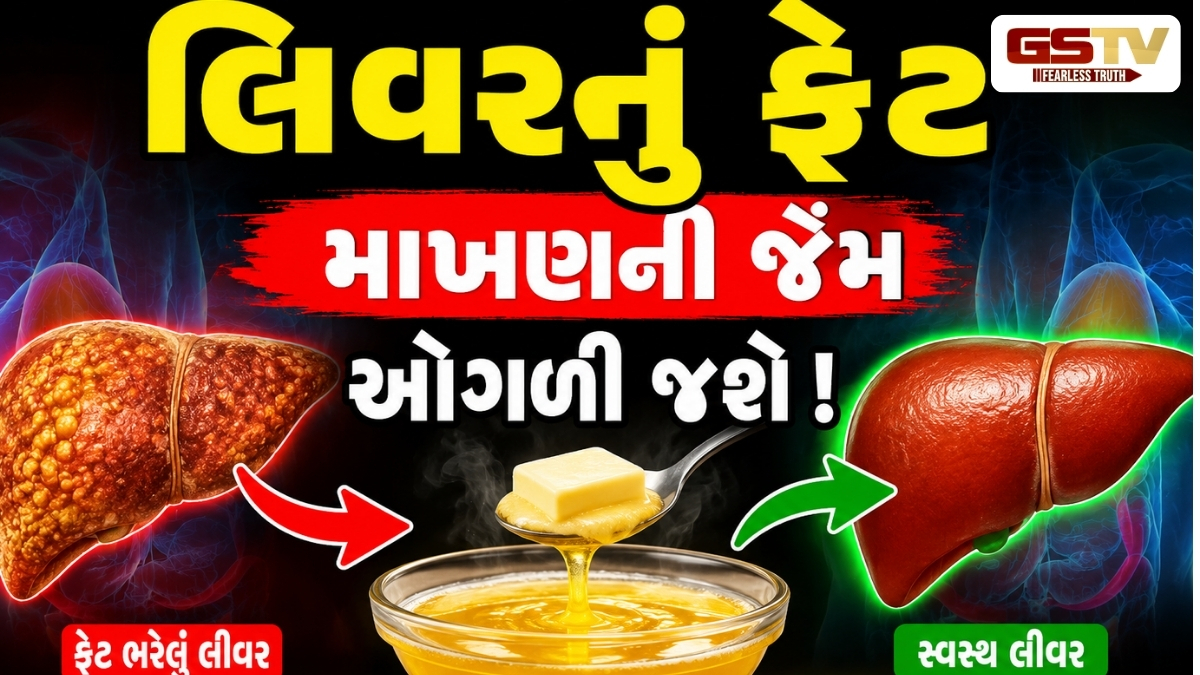 VIDEO :Health Tips/ લિવર પર જમા થયેલી ચરબીને બરફની જેમ ઓગાળી દેશે આ 3 અદ્ભુત પાંદડા, જાણો સેવનની સાચી રીત