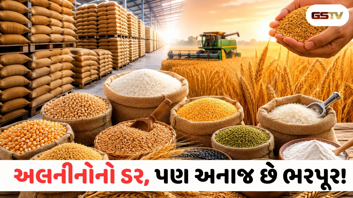 અલનીનોનું સંકટ પણ અનાજની કોઈ તંગી નહીં, સરકાર પાસે છે પૂરતો સ્ટોક