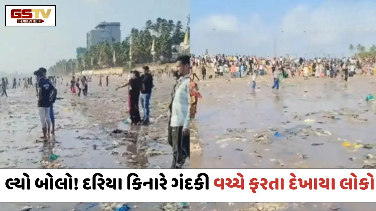 દરિયા કિનારે ગંદકી વચ્ચે ફરતા દેખાયા લોકો, VIRAL VIDEOએ સ્વચ્છતાને લઈને લોકોની ચિંતા વધારી