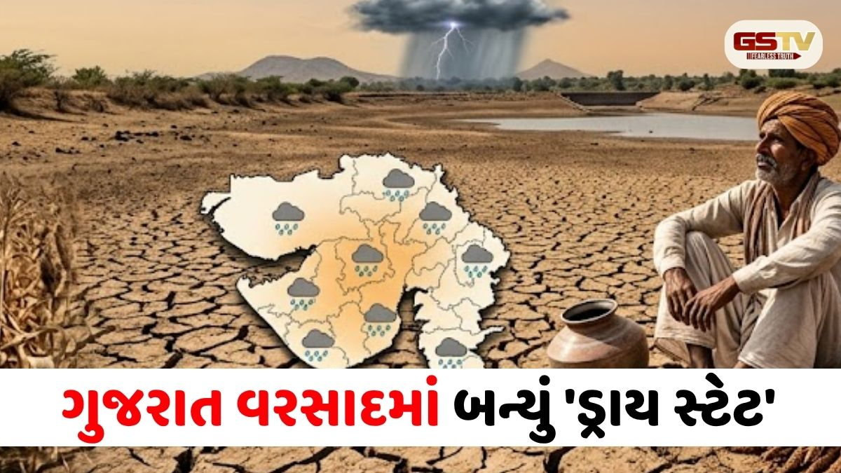 ગુજરાત વરસાદમાં બન્યું 'ડ્રાય સ્ટેટ': ચોમાસામાં હજુ 84% ની ચિંતાજનક ઘટ, જાણો ક્યારે થશે સત્તાવાર એન્ટ્રી