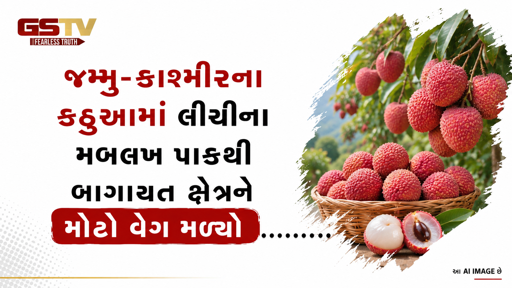 VIDEO : જમ્મુ-કાશ્મીરના કઠુઆમાં લીચીના મબલખ પાકથી બાગાયત ક્ષેત્રને મોટો વેગ મળ્યો