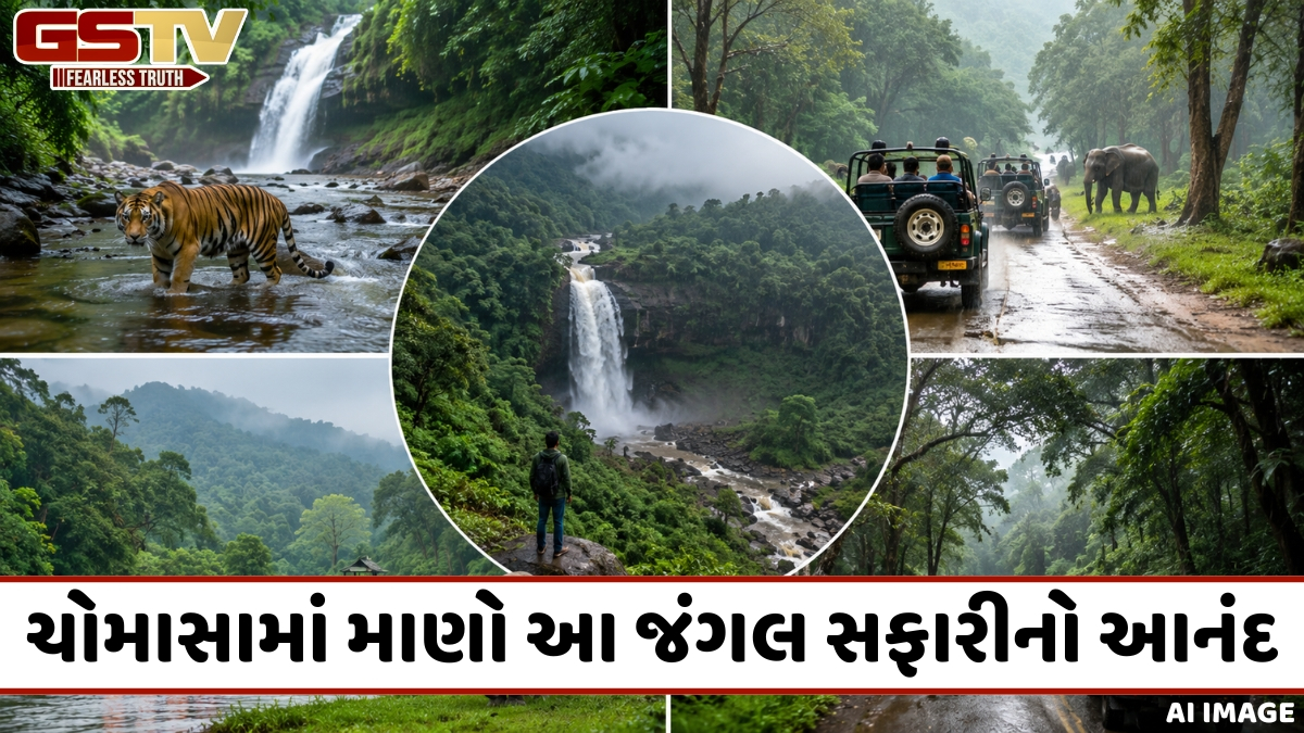 VIDEO: લીલાછમ જંગલો, ધોધ અને સાહસ... ચોમાસા દરમિયાન દેશના આ રાષ્ટ્રીય ઉદ્યાનોની લો મુલાકાત