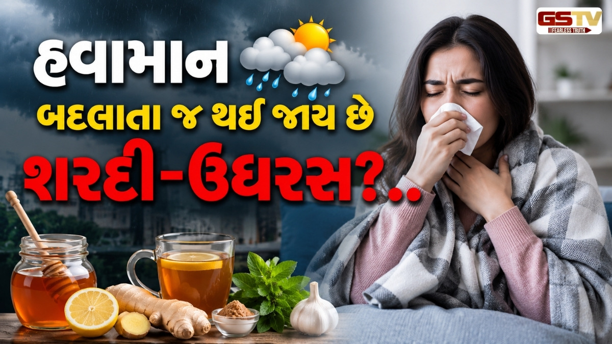 રોગપ્રતિકારક શક્તિ વધારવાનો સૌથી સરળ અને ઘરગથ્થુ ઉપાય: શરદી-ઉધરસમાં મળશે તરત આરામ!