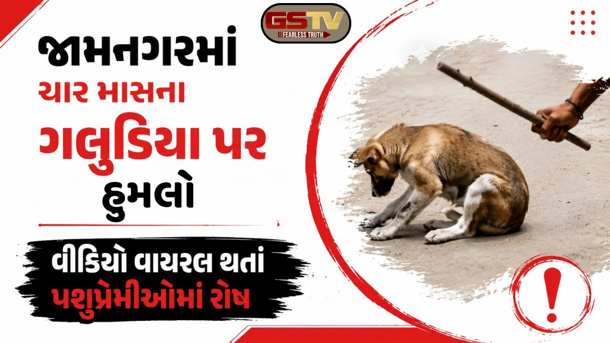 Jamnagarમાં યુવકે ગલુડિયાને બેરહેમીપૂર્વક માર માર્યો, જીવદયાપ્રેમીઓમાં ભભૂકેલો રોષ
