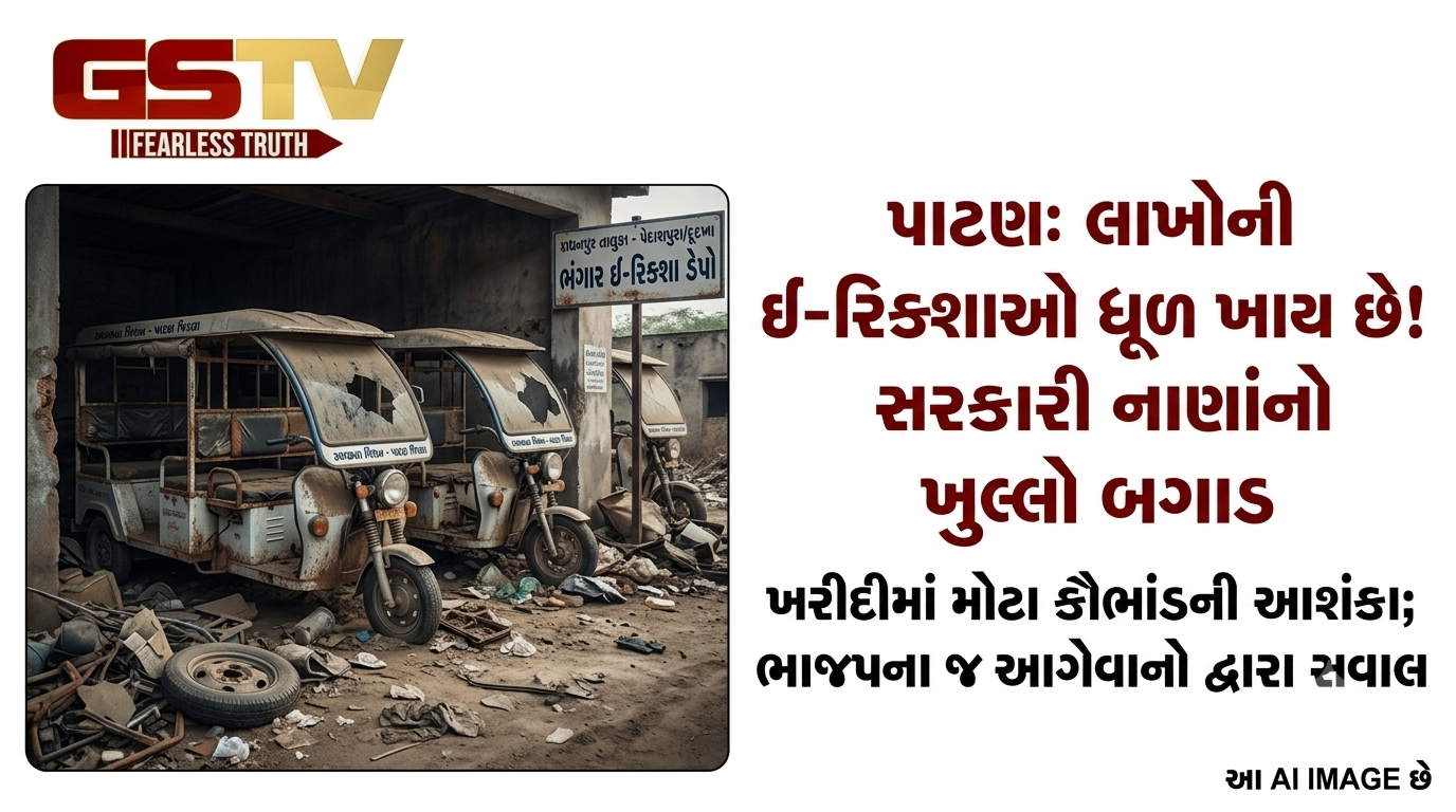 VIDEO : પાટણમાં સ્વચ્છતાની ઈ-રિક્શા ખરીદીમાં મોટા કૌભાંડની આશંકા