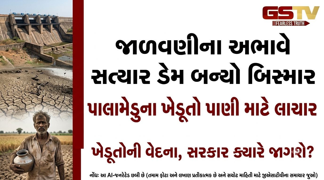 VIDEO:ANDARNI VAAT/જાળવણીના અભાવે સત્યાર ડેમ બન્યો બિસ્માર, પાલામેડુના ખેડૂતો પાણી માટે લાચાર