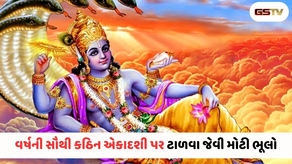 નિયમો ચૂક્યા તો વ્રત નિષ્ફળ જશે! નિર્જળા એકાદશીના દિવસે કઈ ૬ બાબતોનું ખાસ ધ્યાન રાખવું?