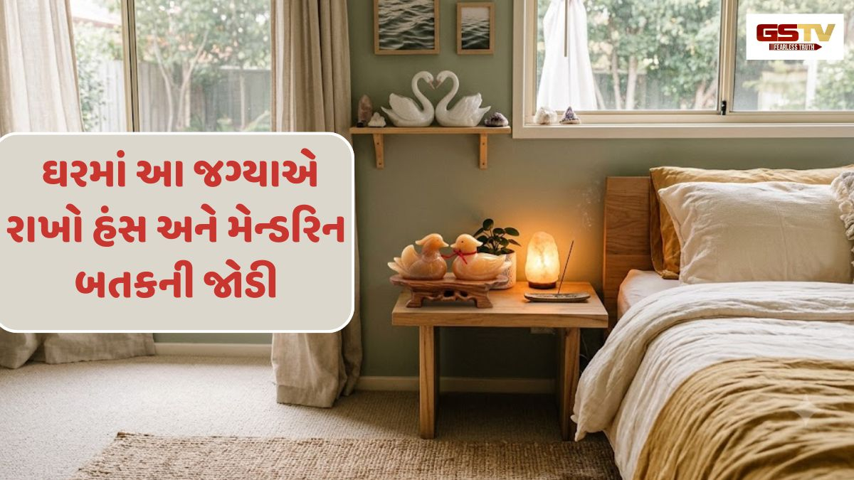 Vastu Tips: ઘરમાં આ જગ્યાએ રાખો હંસ અને મેન્ડરિન બતકની જોડી, પ્રેમ વધશે અને સુખ-સમૃદ્ધિનો થશે વરસાદ!
