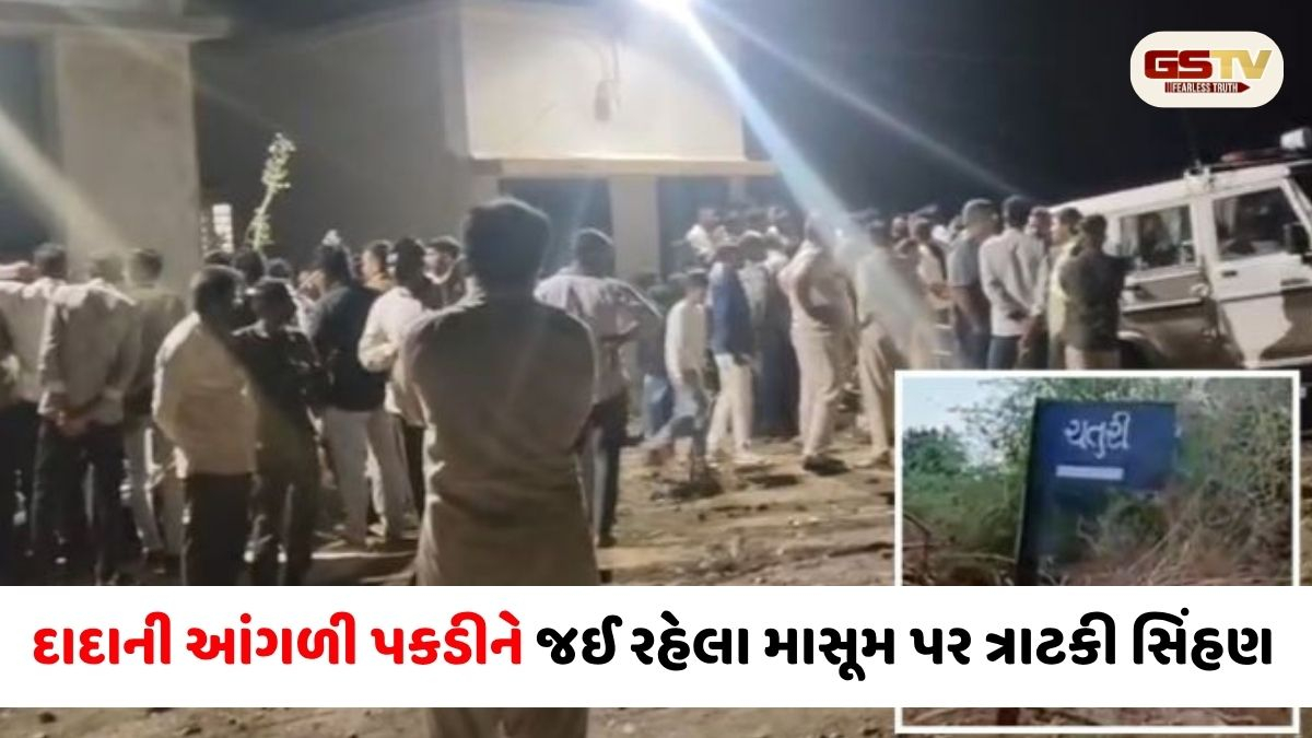 Amreli/ ખાંભાના ચતુરી ગામે દાદાની નજર સામેથી ૫ વર્ષના માસૂમને  સિંહણે ફાડી ખાધો