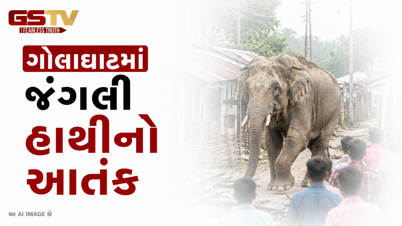 VIDEO: ગોલાઘાટમાં જંગલી હાથીનો આતંક