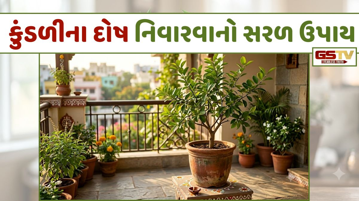 Religion: તમારા ઘરની બાલ્કનીમાં છુપાયેલો છે કુંડળીના દોષો નિવારવાનો સૌથી સરળ ઉપાય, આ છોડ ચમકાવશે નસીબ!