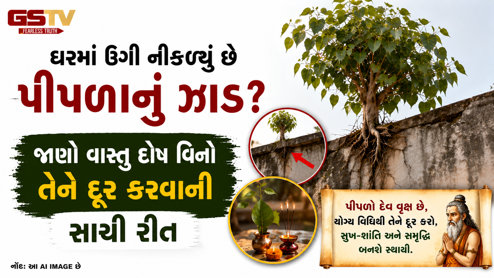 Religion : ઘરમાં ઉગી નીકળ્યું છે પીપળાનું ઝાડ? જાણો વાસ્તુ દોષ વિના તેને દૂર કરવાની સાચી રીત