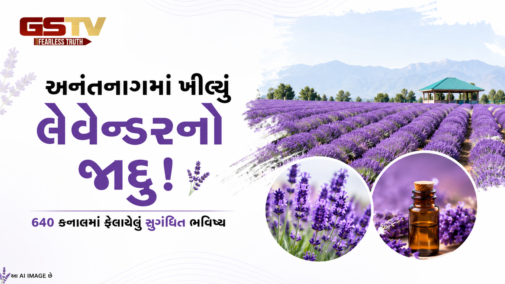VIDEO: અનંતનાગમાં ૬૪૦ કનાલમાં લેવેન્ડરની સુગંધિત ખેતી
