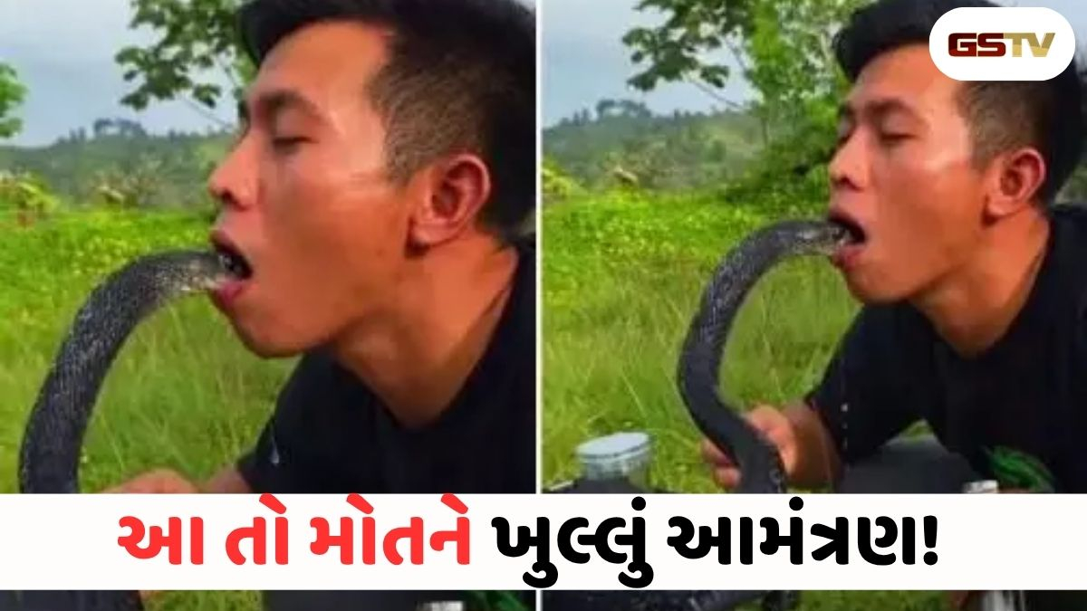 VIRAL VIDEO: મોત સાથે સીધી રમત! વ્યક્તિએ કિંગ કોબ્રાને પોતાના મોંમાંથી પાણી પીવડાવ્યું